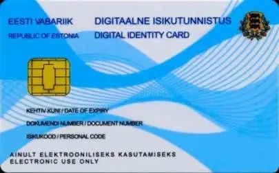 אזרחות אלקטרונית באסטוניה, שירותים מקצועיים
