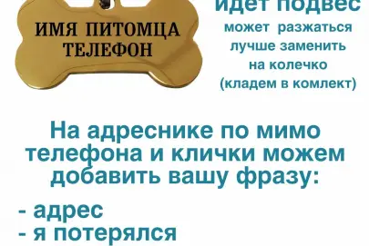 Адресник для собаки с гравировкой имени и телефона, Хайфа, 50 ₪