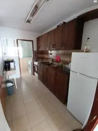 2 room apartment for rent, Animals, Sale of dogs, Haifa, 2,100 ₪