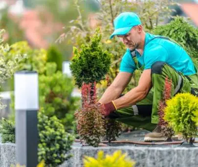 GARDENER נדרש לעבוד בחברת סופרלנד גדולה ומוכרת במערב ראשון לציון, דרושים, רוסית