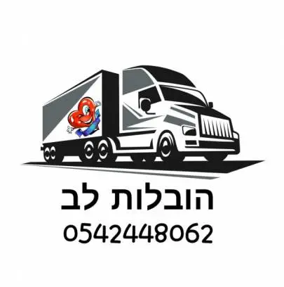 תחבורה אריה, שירותים מקצועיים