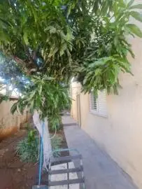 #384, Rishon LeZion, Flats & Apartments, 2,500 ₪